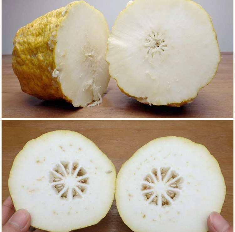 云南新鲜香橼果 佛手柑 香缘果 5斤(青黄果)【图