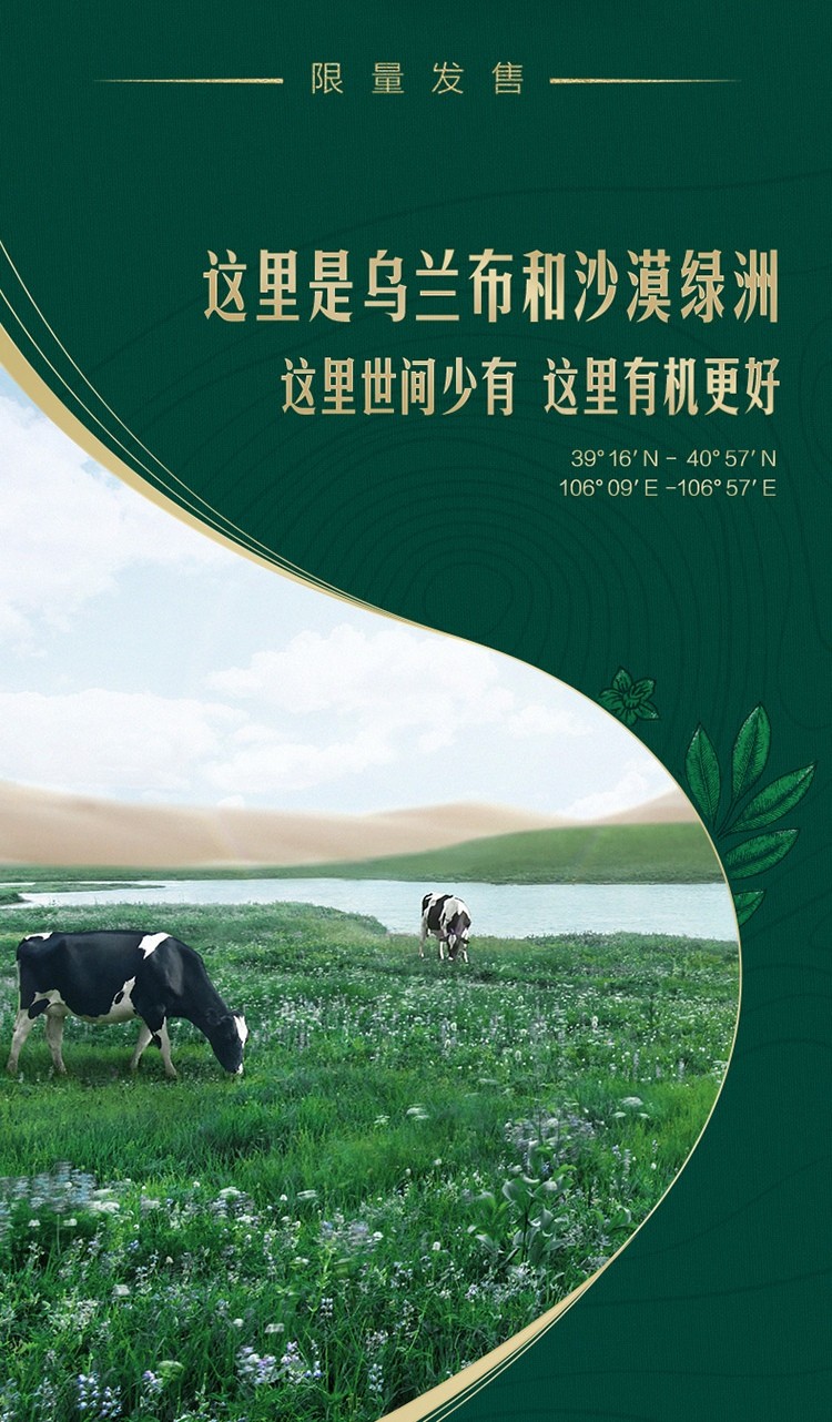 【7月现货】蒙牛特仑苏沙漠有机纯牛奶利乐梦幻盖限定沙漠绿洲奶源