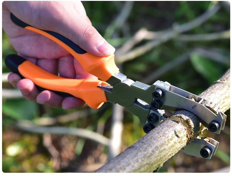 荔枝柚子枣树剥皮刀开甲器割树皮割果树剥皮器 单孔环剥钳h031【图片