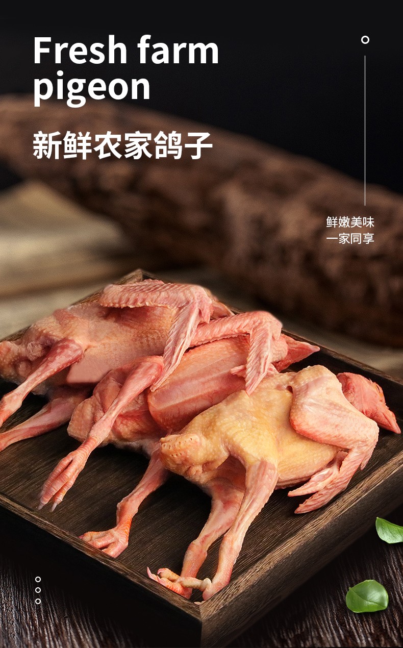 吴琼 鸽子肉 新鲜现宰鸽子 3只装 生鲜乳鸽子 杀前约1500g 烧烤整只