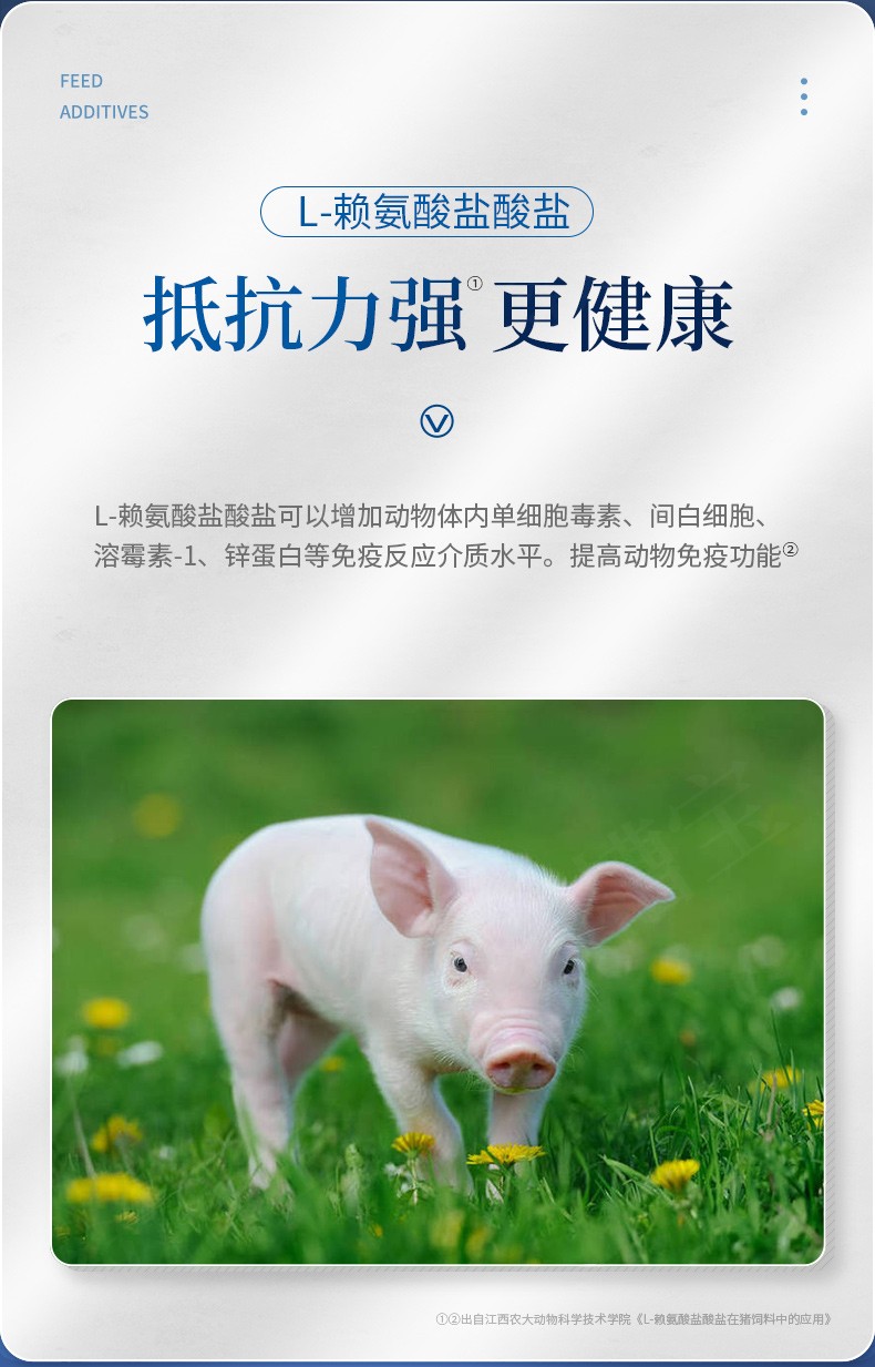 华畜 猪饲料 预混料大猪育肥猪浓缩料可加鱼粉玉米 教槽料20kg