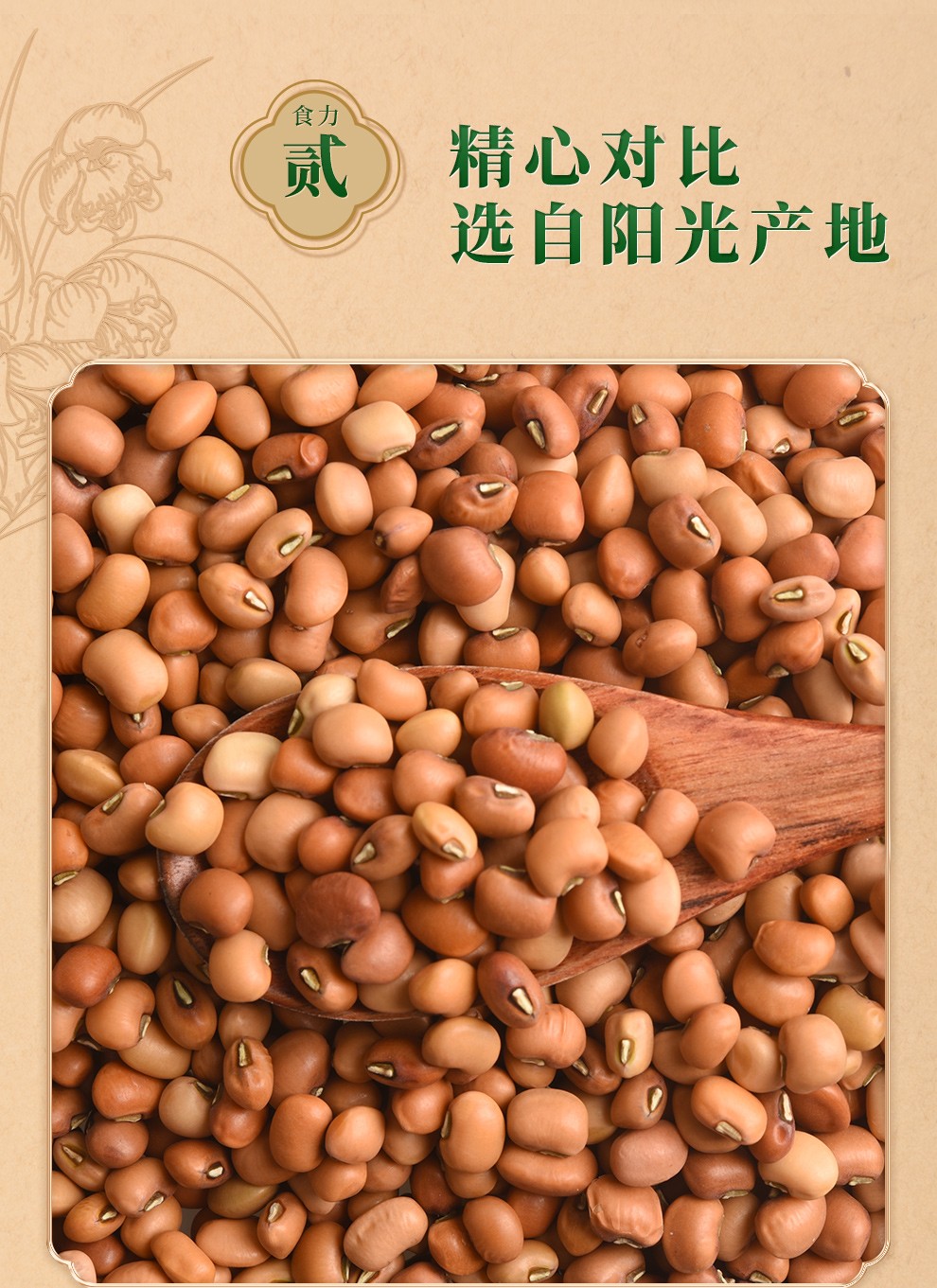 汴都铺子 豇豆500g 农家豇豆米 花腰豆 江豆袋装大米伴侣 五谷杂粮