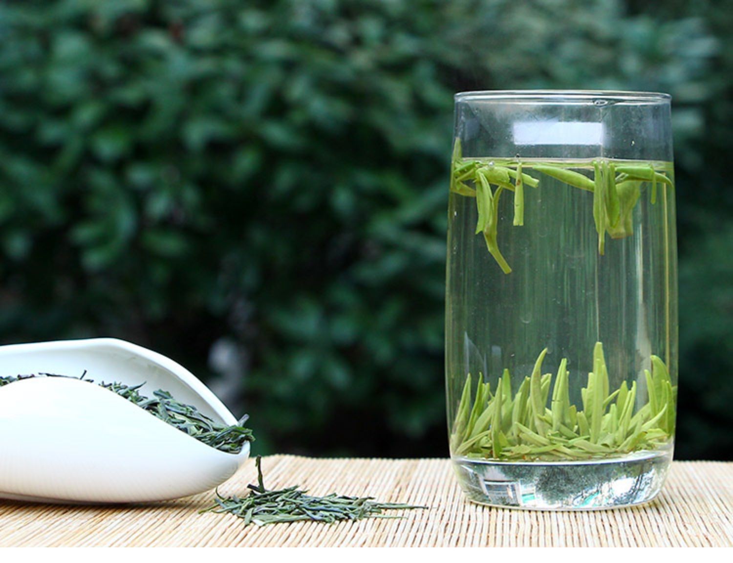 【2罐装】2022新茶上市绿茶礼盒装250g开化龙顶雀舌茶叶高山嫩芽清香