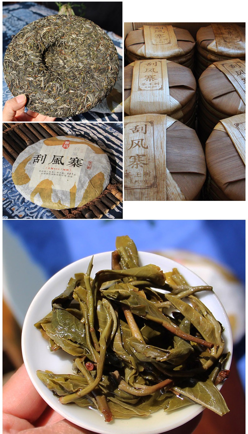 2021年头春古树奢玛普洱茶生茶刮风寨茶王树云南茶叶357g饼茶