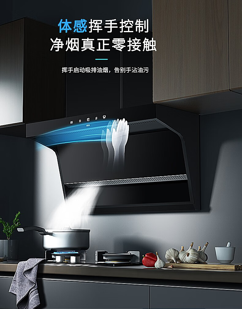 莱普laipu油烟机cx317