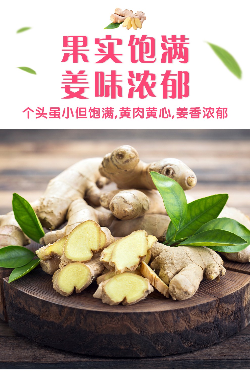 云南新鲜小黄姜 调味佳品 姜味浓郁 新鲜小黄姜 严选5斤装【图片 价格