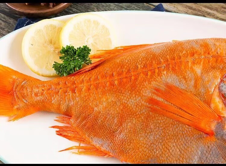 鹿凌青 超大长寿鱼 冰鲜长寿鱼 橙鲷石斑鱼 大号深海海鲜2-3.