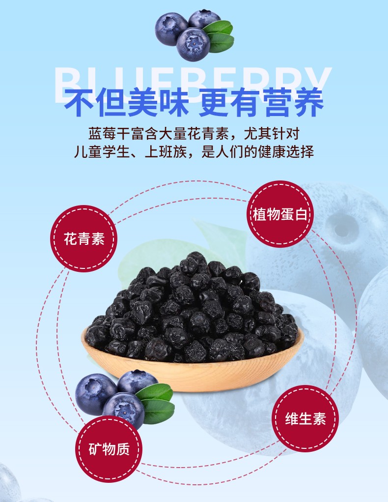 辰本 美国进口柯克兰kirkland整粒蓝莓干567g/袋 67g/袋【图片 价格