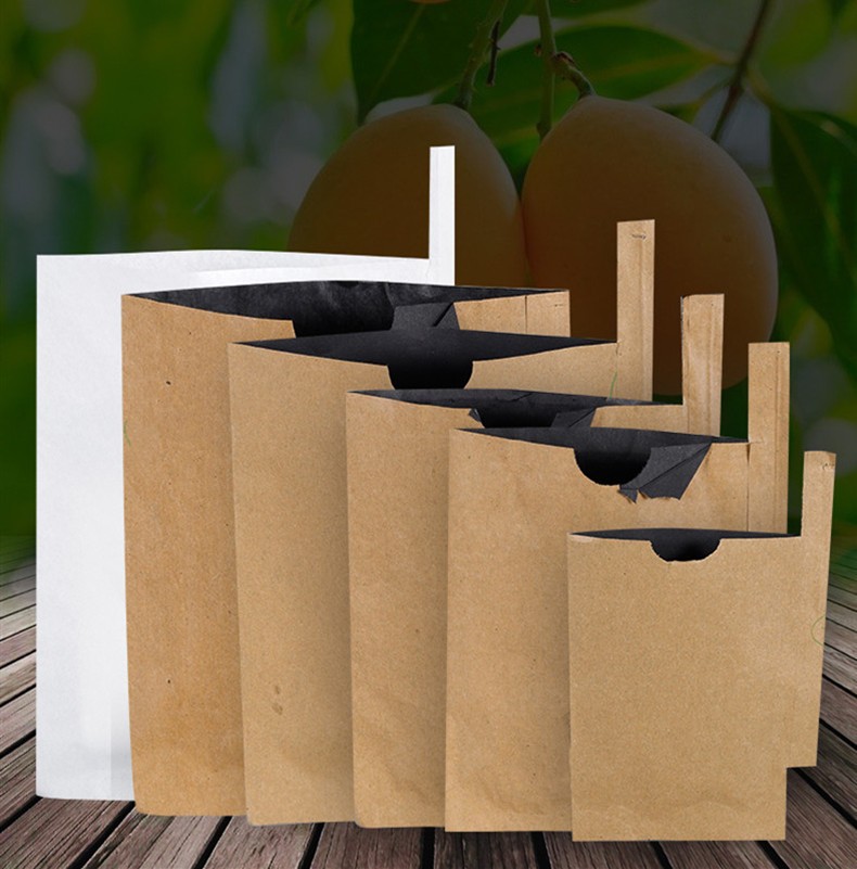 枇杷套袋防鸟水果套袋纸袋枇杷袋子芒果套袋用袋柚子套袋刀把单层外黄