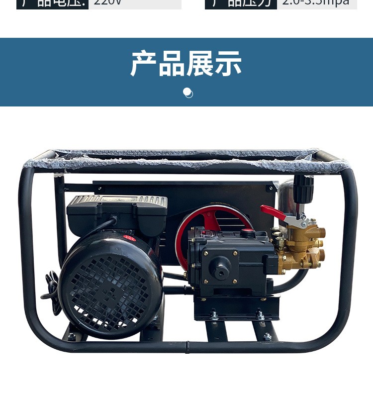 电动打药机三缸220v48v高压农用家用全自动新式电瓶遥控喷药机 48/60