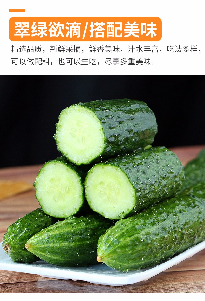 长黄瓜新鲜黄瓜5斤整箱农家自种蔬菜青瓜带刺长脆嫩小黄瓜当季孕妇