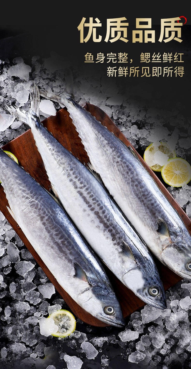 觅客 鲅鱼 蓝点马鲛鱼 鲜活海捕冷冻海鲜水产马鲛鱼新鲜青岛大鲅鱼 5