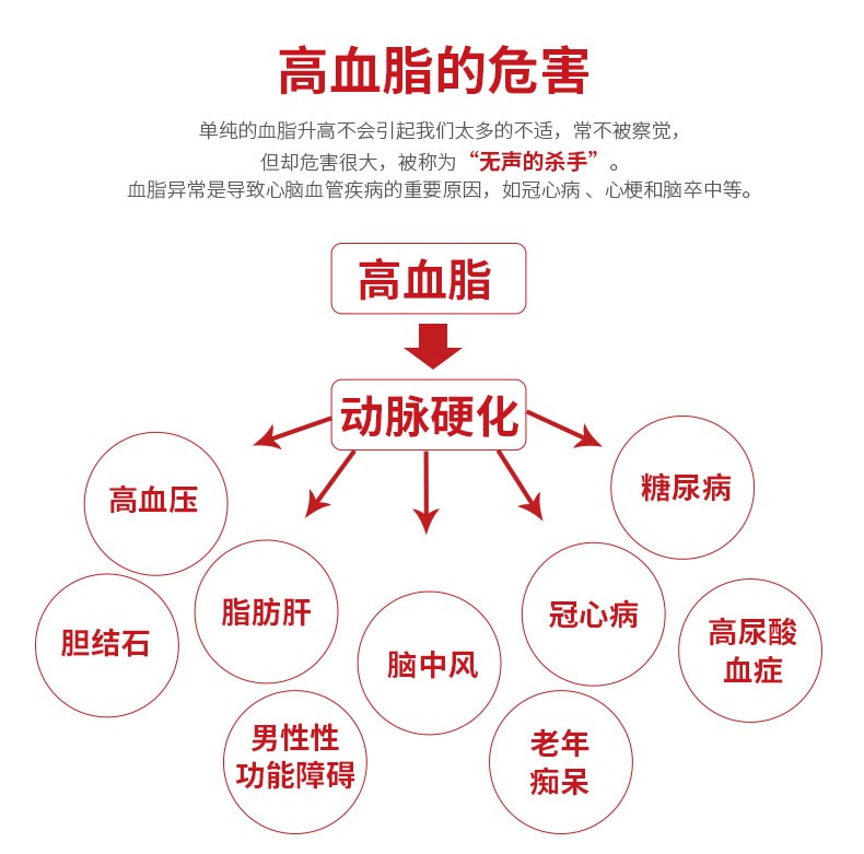 卡迪克干式生化血脂分析仪手持式血脂检测仪一根试纸测四项血糖试纸50