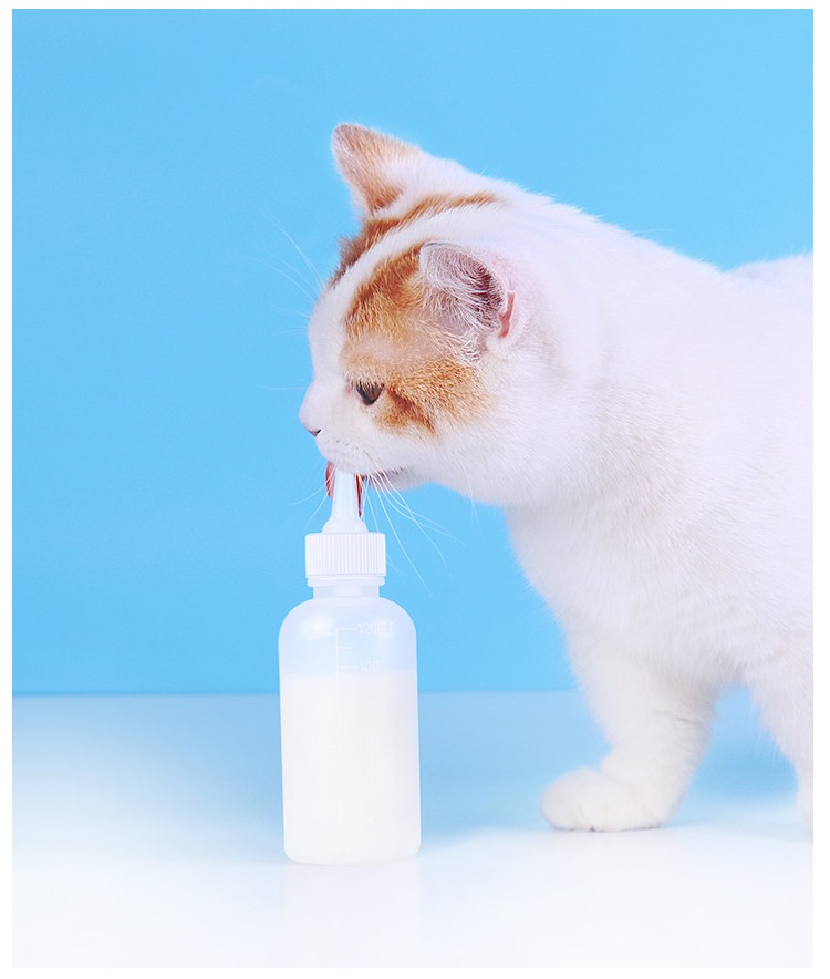 奶瓶宠物宠物新生宠物幼猫幼狗小奶猫小狗狗替换奶瓶奶瓶喂水器可猫咪