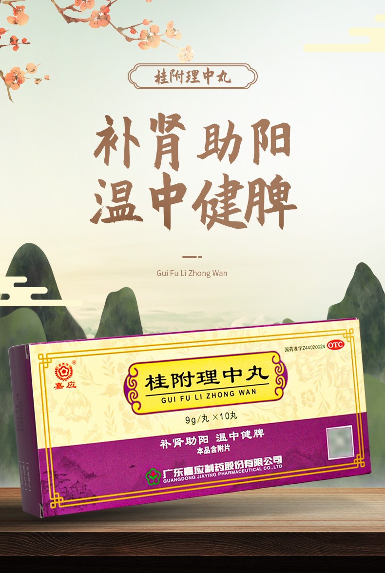 嘉应 桂附理中丸 9g*10s 大蜜丸 补肾助阳 温中健脾 用于肾阳衰弱