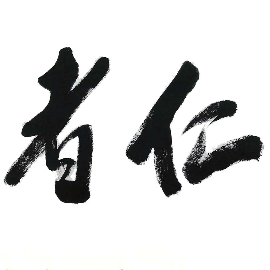 中国作家协会会员二e月河款仁者爱人