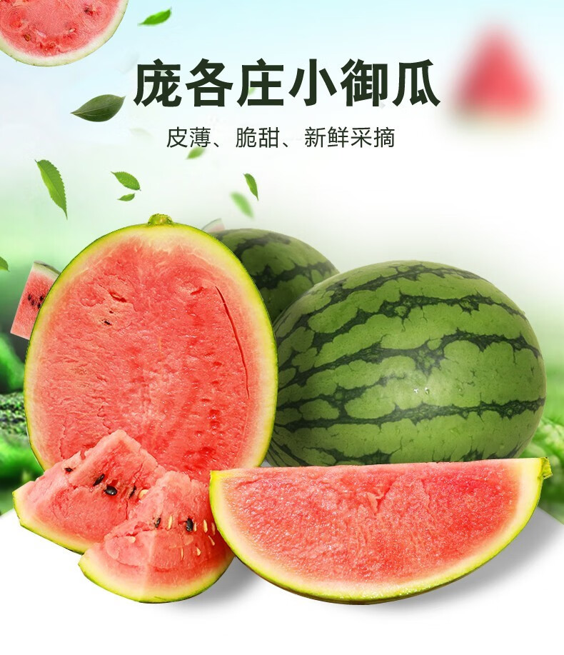 北京庞各庄西瓜新鲜水果迷你小吊瓜糖丸西瓜2个装单果2斤左右