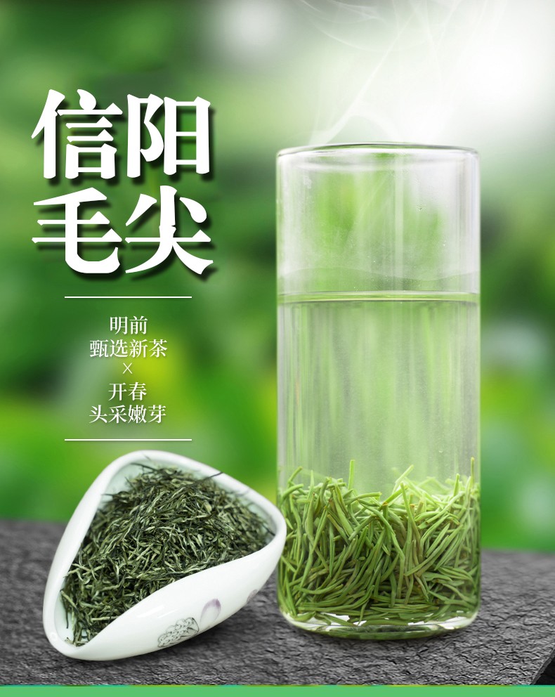 画景湾信阳毛尖茶2022明前新茶正宗河南信阳炒青绿茶送礼茶叶125g