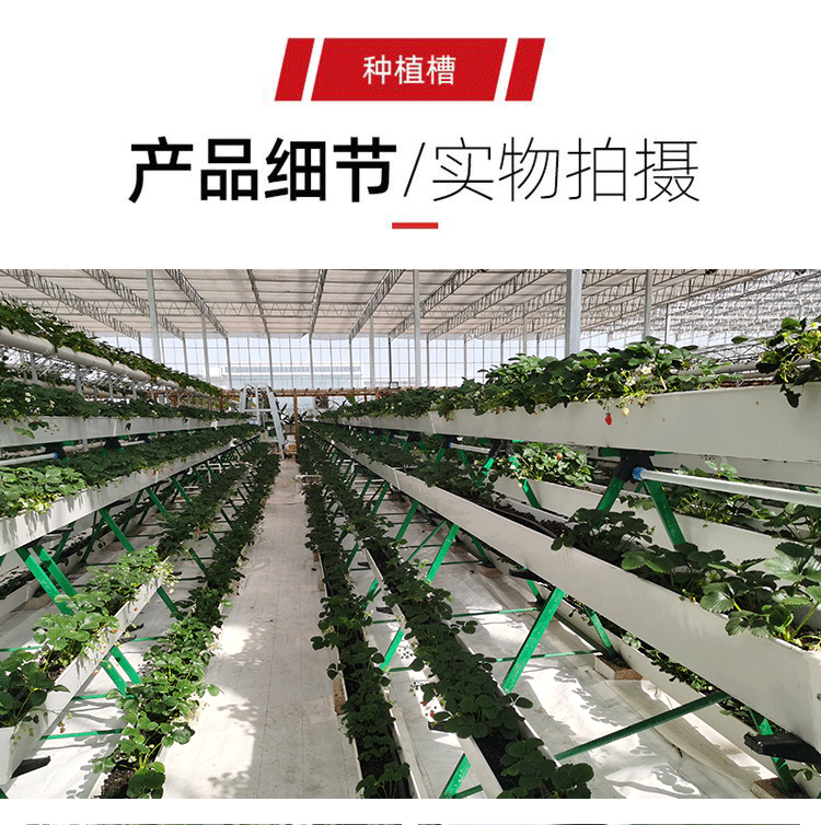 土水基质智能玻璃育苗温室连体栋大棚鱼菜共生设备配件草莓立体种植槽