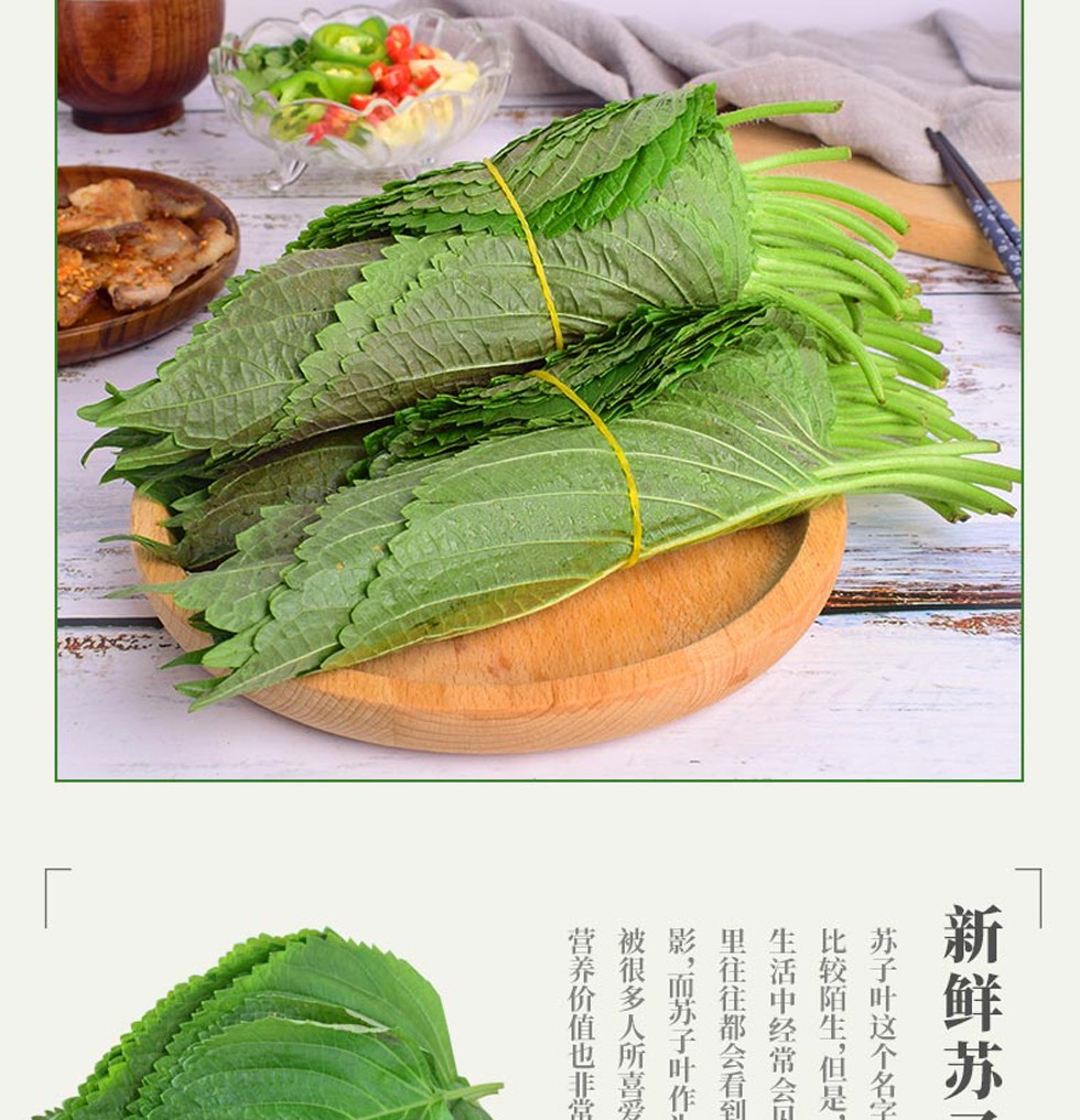 顺丰苏子叶新鲜韩国烤肉紫苏叶食用包饭青菜紫苏蔬菜500g