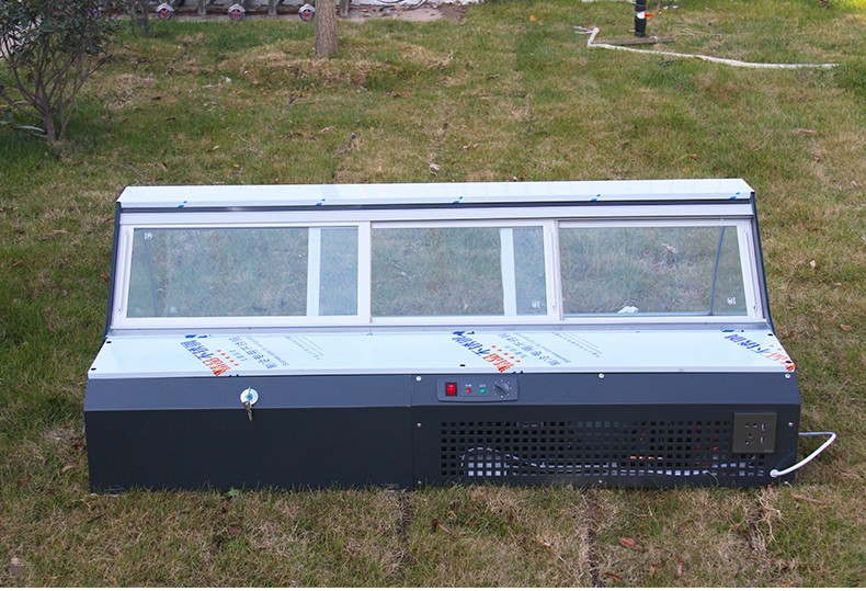 展示台柜炸串冷藏保鲜台柜小型三轮车摆摊展示台柜炑森户外移动冰冷箱