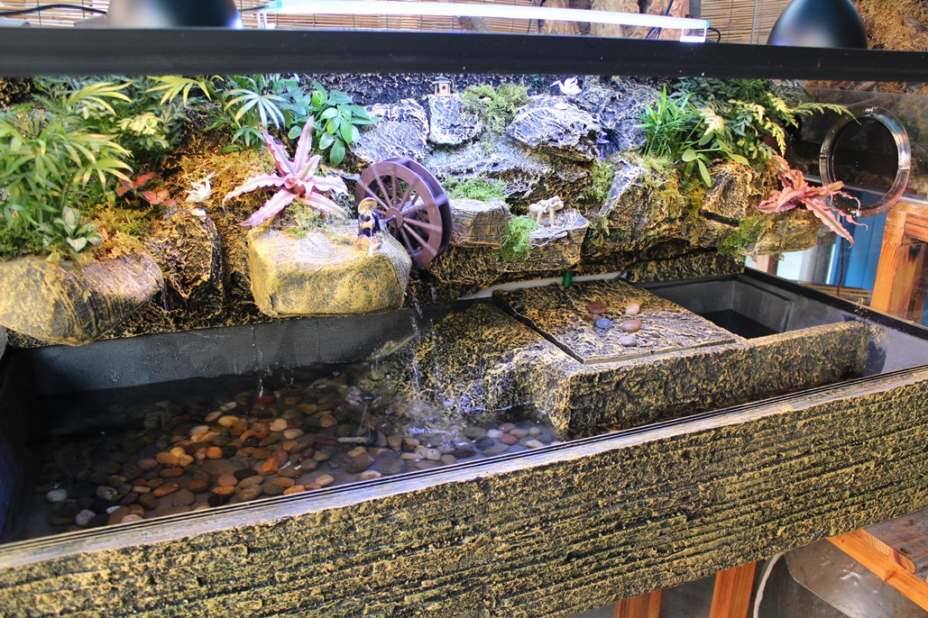 乌龟缸带晒台玻璃水龟缸雨林造景水陆缸鳄龟缸黄缘龟缸巴西龟缸 yp