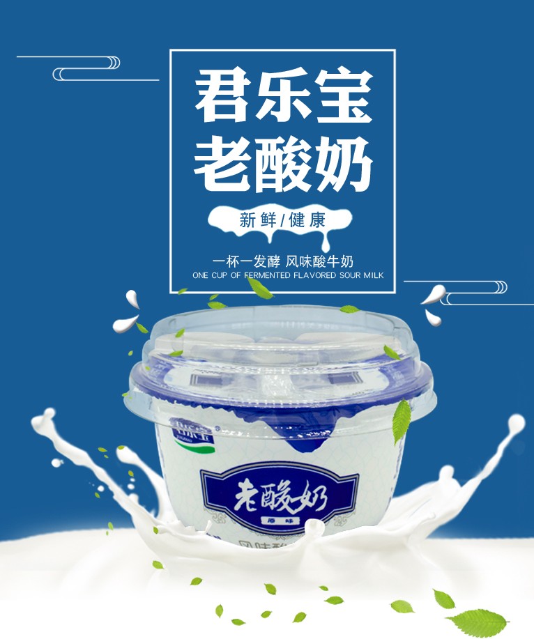 君乐宝老酸奶碗装原味益生菌发酵乳风味酸牛奶营养早餐酸奶整箱139g24