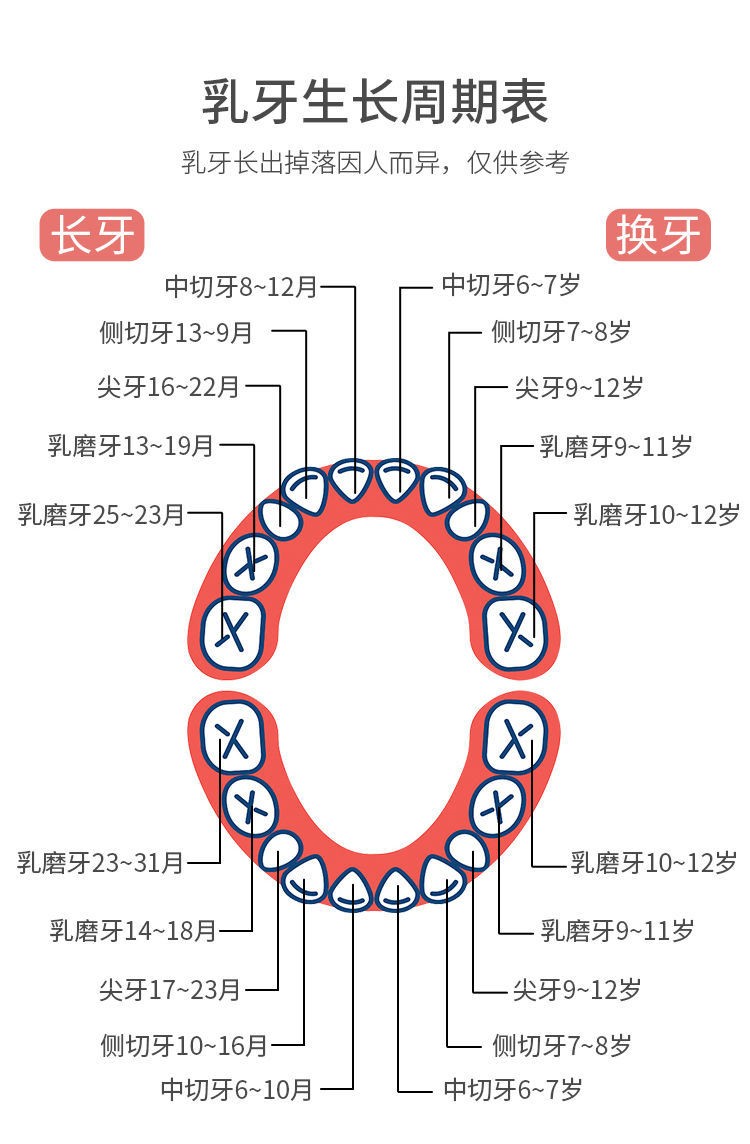 仟佰盾(chiefdon) 乳牙纪念盒 女孩牙齿收纳盒小孩儿童装牙齿的盒子
