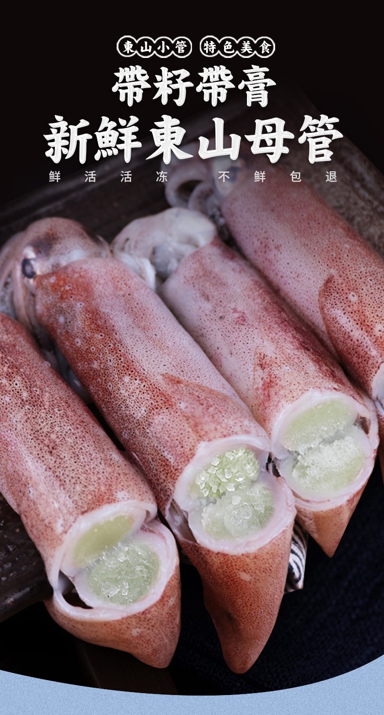 泳丰鲜生东山小管带籽母管野鲜鱿鱼红鱿肉厚饱满生鲜鱿鱼泳丰新鲜水产
