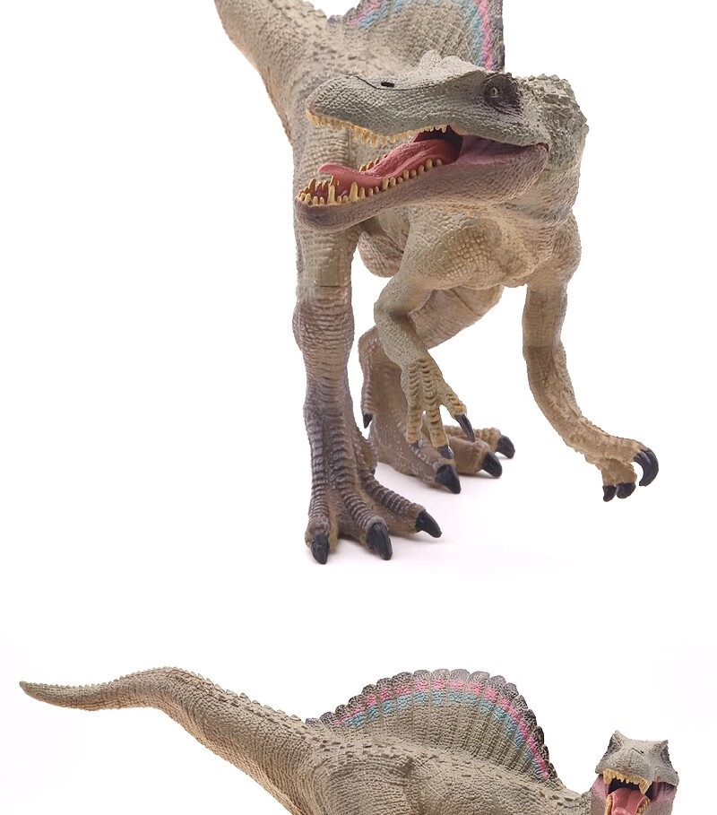 侏罗纪仿真埃及棘龙模型脊龙摩洛哥棘背龙玩具恐龙动物礼物高棘龙 扶