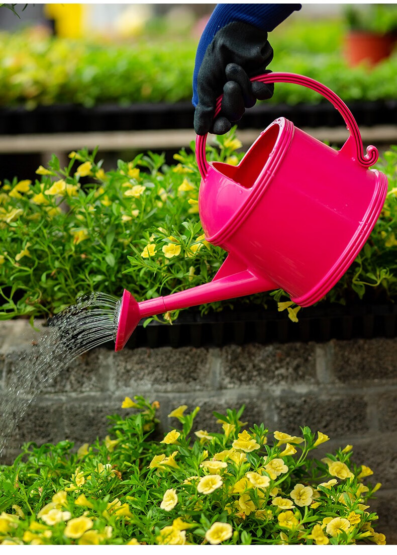 爱丽思iris彩色家用塑料洒水壶阳台长嘴浇花壶多用小花洒园艺工具浅