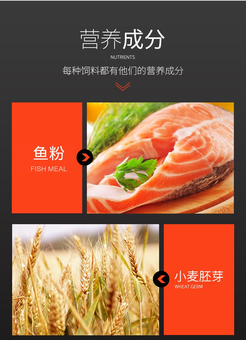 德国喜瑞sera海水鱼健康颗粒饲料鱼粮主食饲料小丑海水鱼食鱼饲料 海