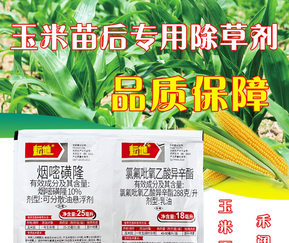 玉米苗后专用除草剂不伤苗玉米地烟嘧磺隆氯氟吡氧乙酸禾阔双杀除草封