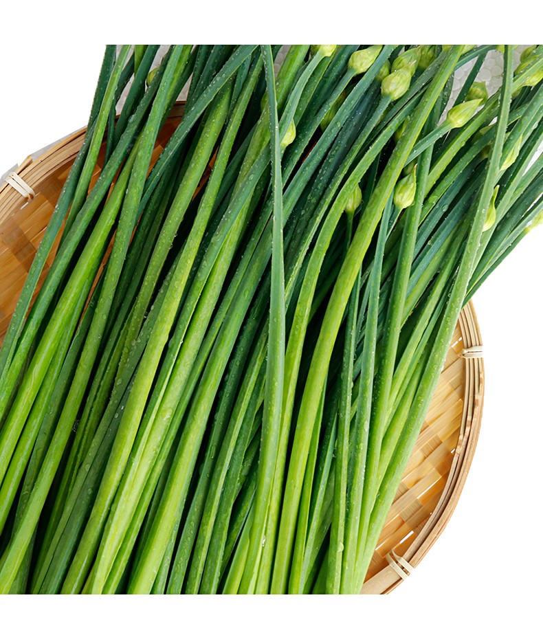 春光岛【jd物流】福建漳州韭菜苔新鲜蔬菜农家种植韭菜花食用韭花韭菜