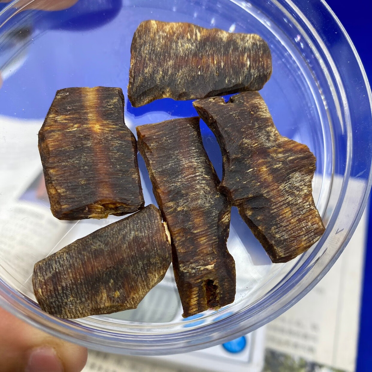 沉水白奇楠沉香 海南沉水白棋楠原材料老料 全熟透棋楠吊坠碎料 20克