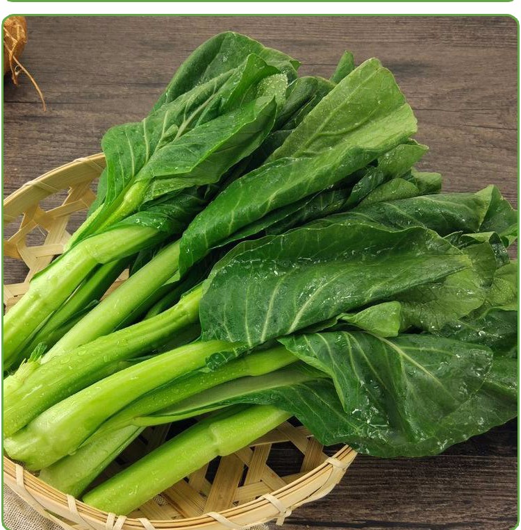 广东菜心 健康轻食芥蓝新鲜蔬菜3斤广东菜心现摘现发小芥兰大芥蓝芥兰