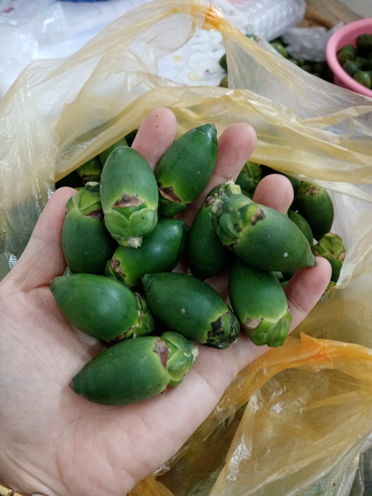 源外【顺丰空运】海南青槟榔生果新鲜槟榔现摘500g散装生槟榔青果 甜