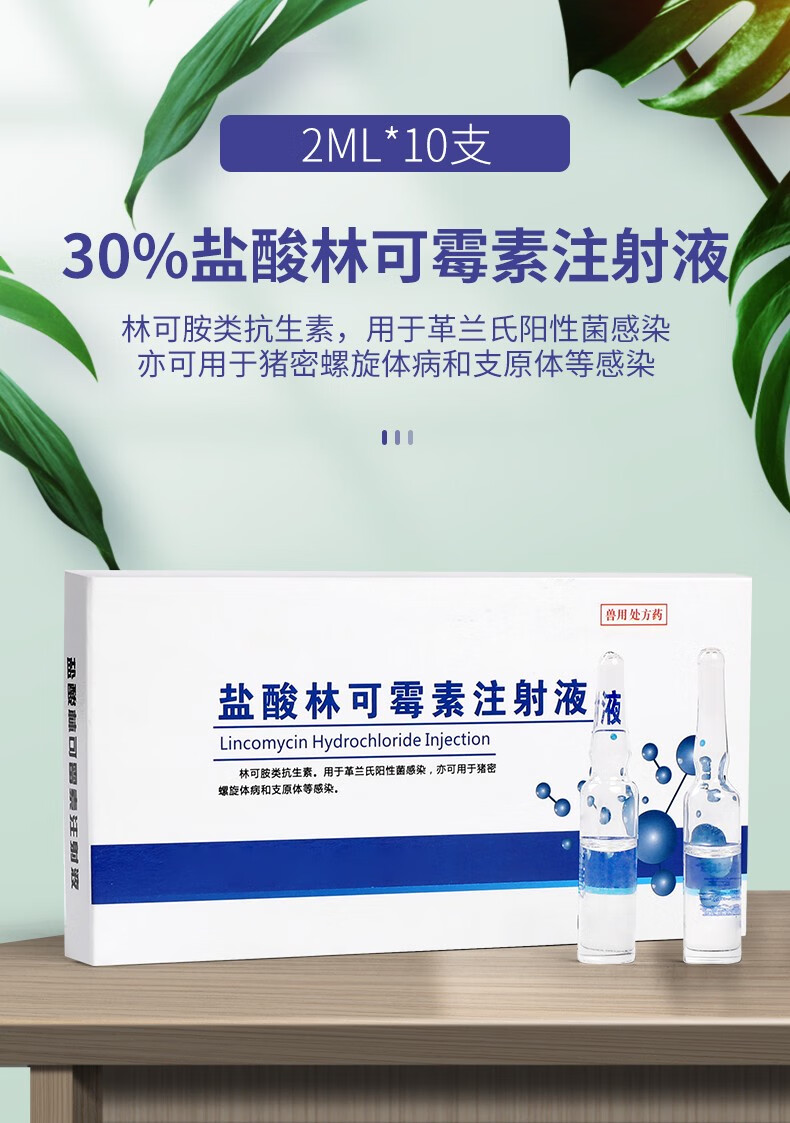 华畜兽药30盐酸林可霉素兽用注射液链球菌支原体30盐酸林可霉素注射液