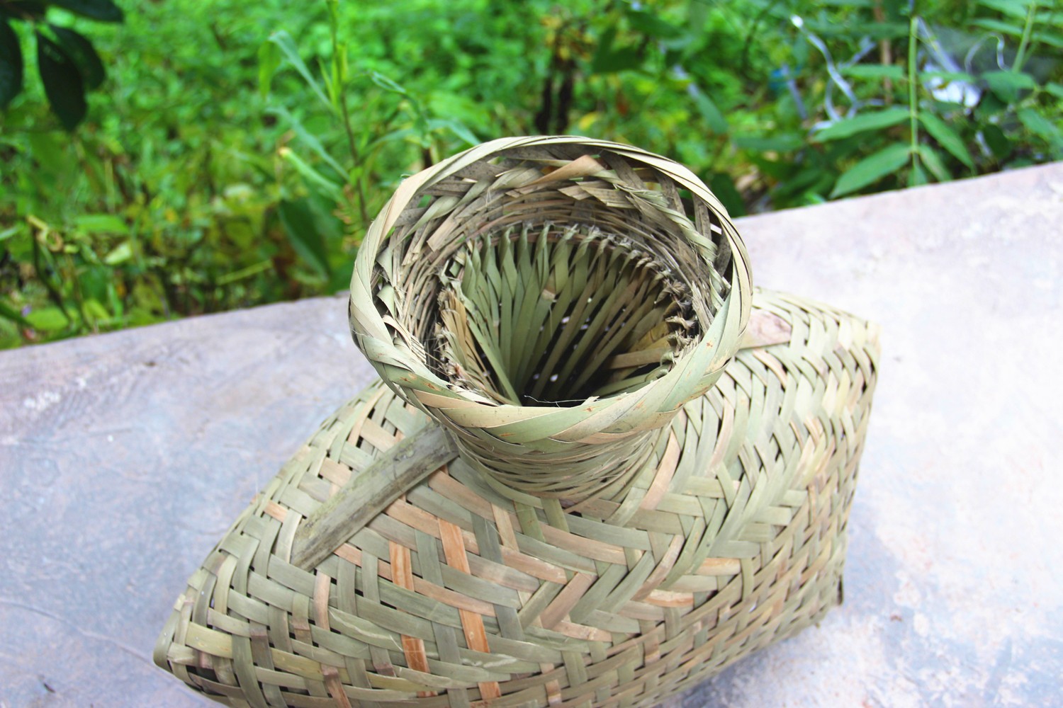 竹编鱼篓黄鳝笼鱼护巴篓鳝鱼青蛙螃蟹田鸡单间背篓舞台道具 大号(长40