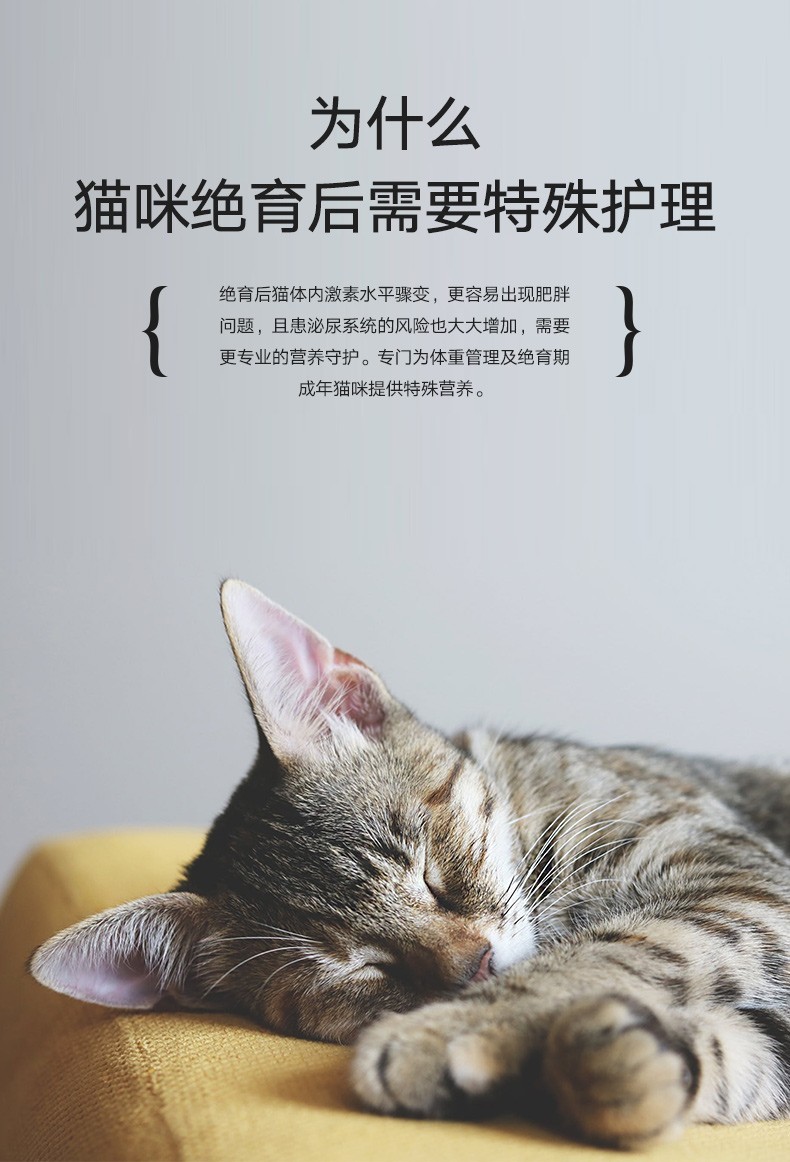 lorde里兜猫粮成猫幼猫冻干猫粮无谷全价天然粮英短布偶蓝猫全阶段