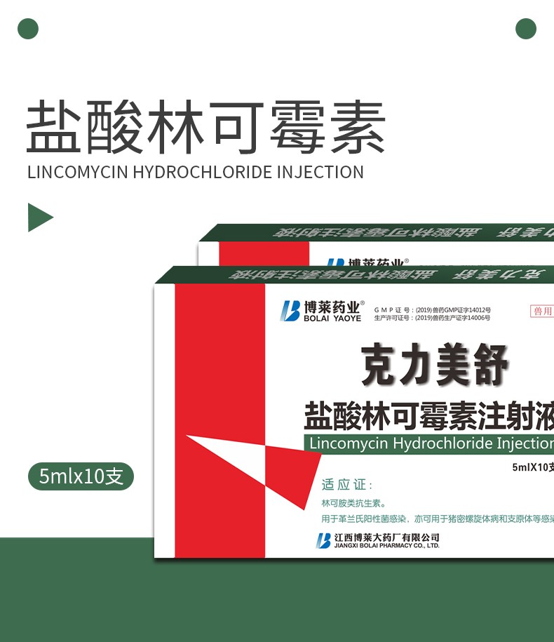 博莱药业盐酸林可霉素注射液5ml10支细菌感染猪喘气病兽药