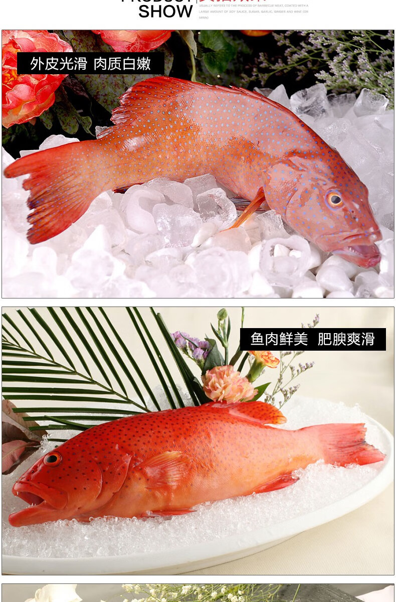 聚福鮮印尼冷凍東星斑300400g1條石斑魚深海魚