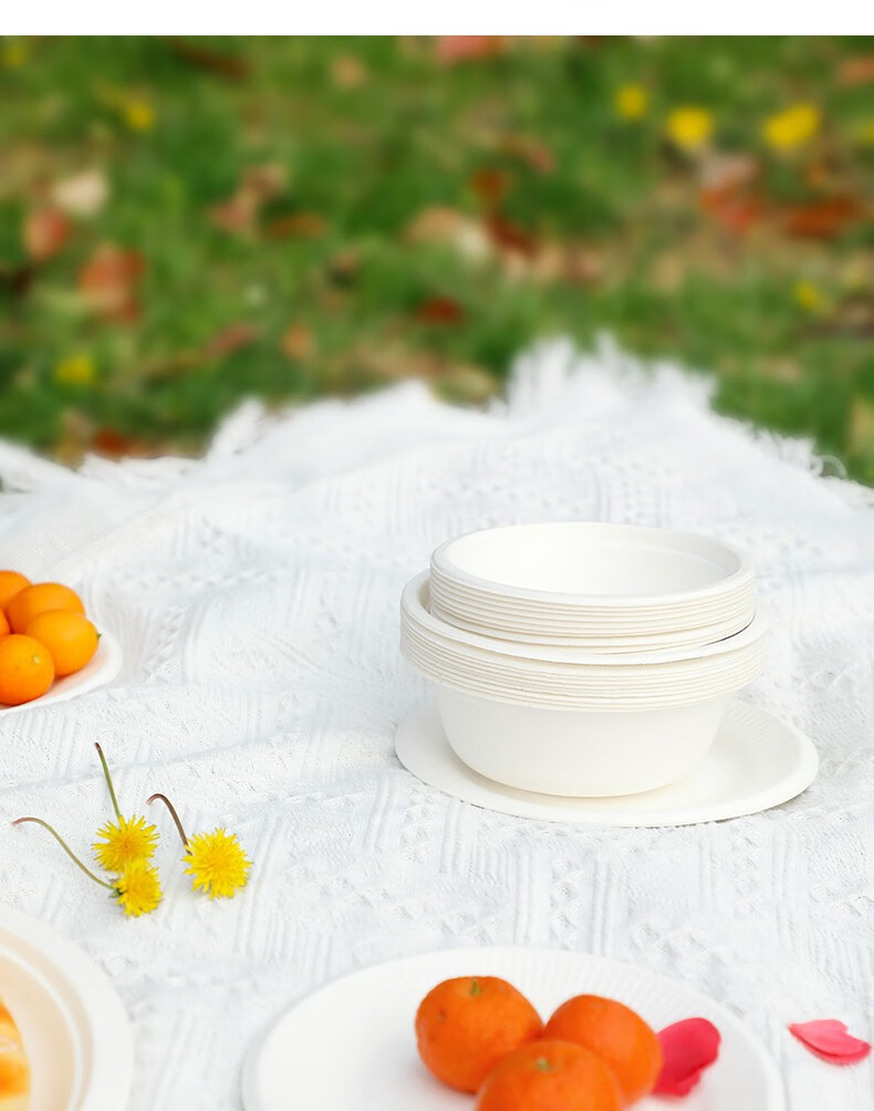 宜洁甘蔗浆纸盘纸碗一次性餐具家用户外食品用防水防油加享可降解纸浆