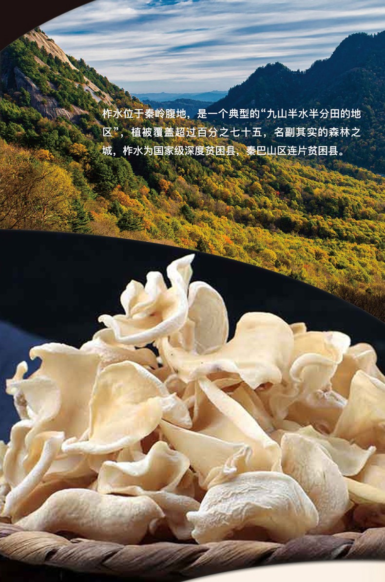 陕西特产柞水木耳一级无根肉厚白木耳山珍干货柞水特产玉木耳200g袋装