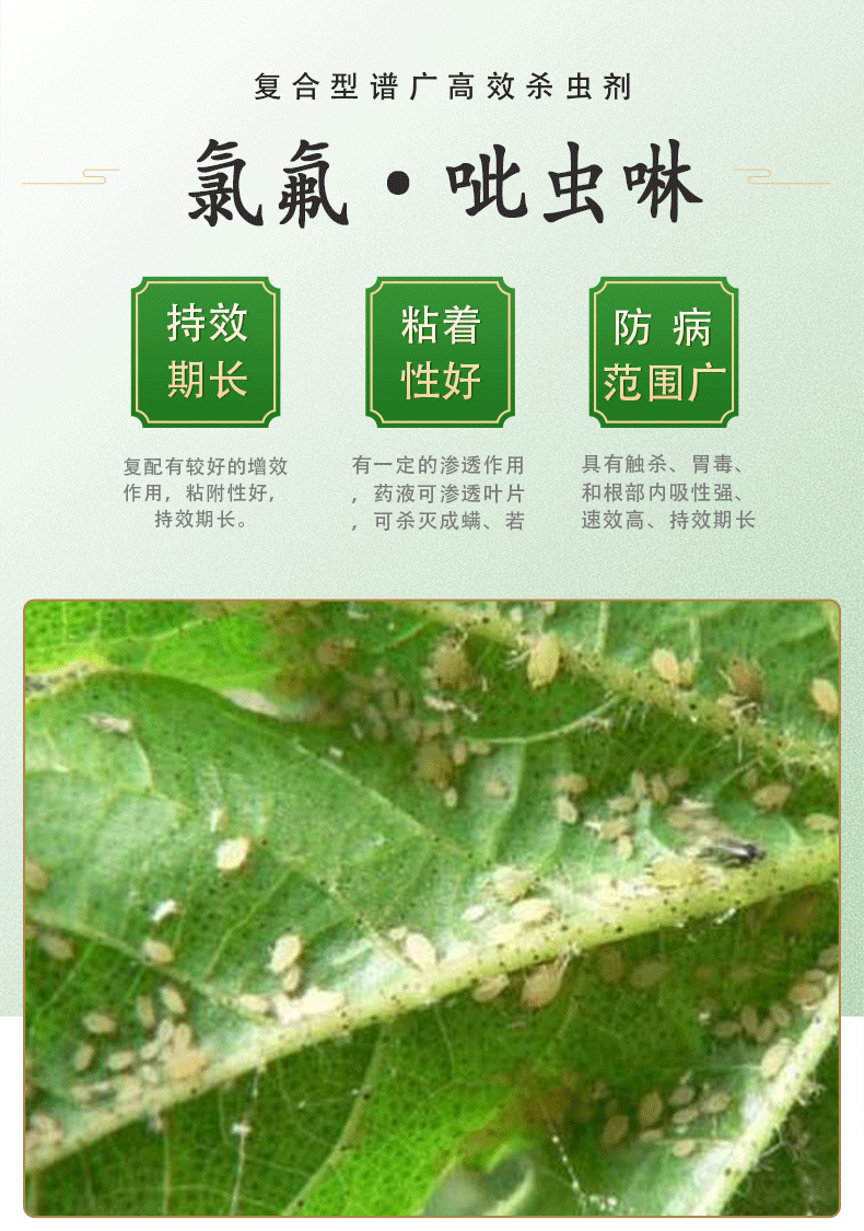 15高效氯氟氰菊酯吡虫啉呲虫蚜虫粘虫钻心虫蔬菜花卉果树多肉农药杀虫