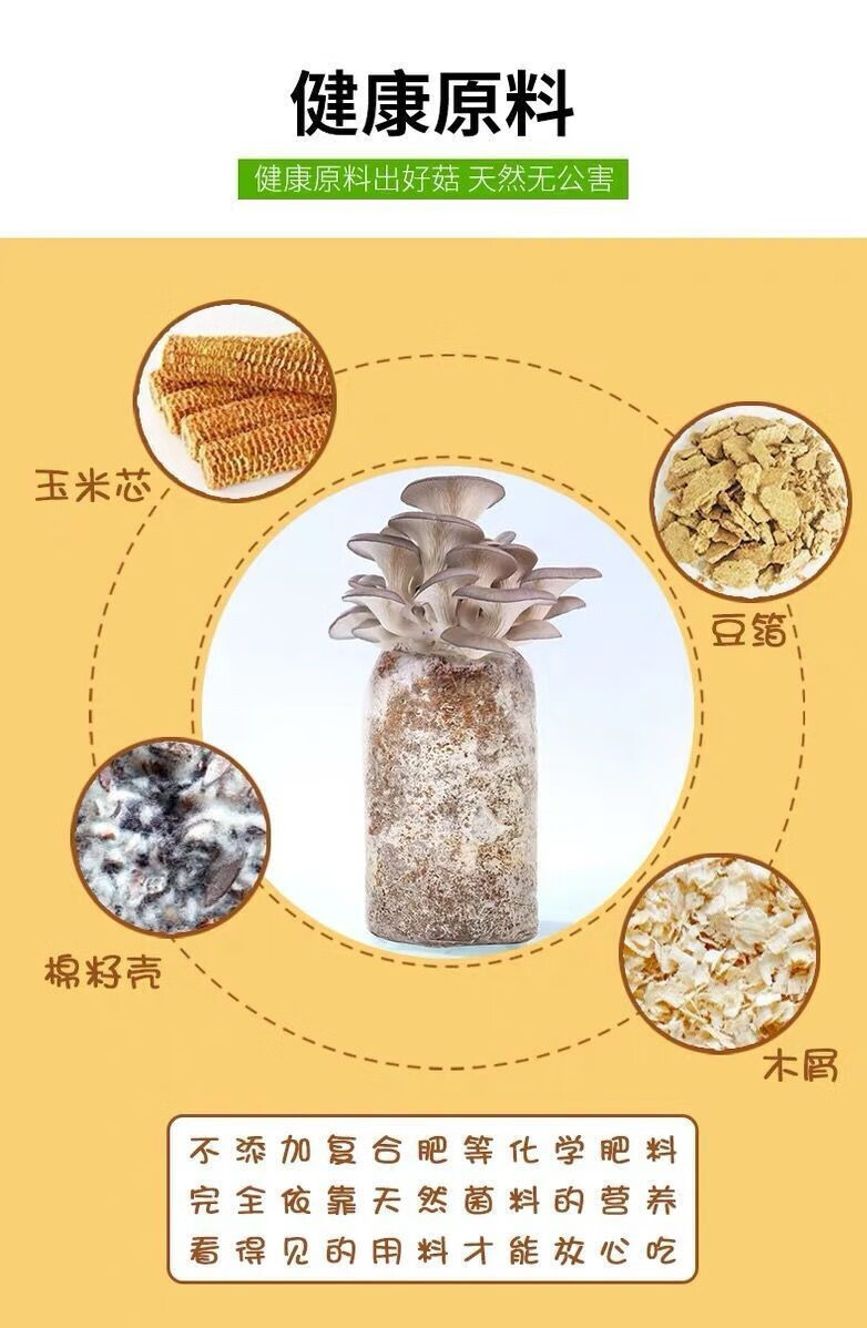 德沃多 菌包蘑菇种子种植包菌棒平菇鸡纵菌黑鸡菇凤尾菇菌榆黄菇种