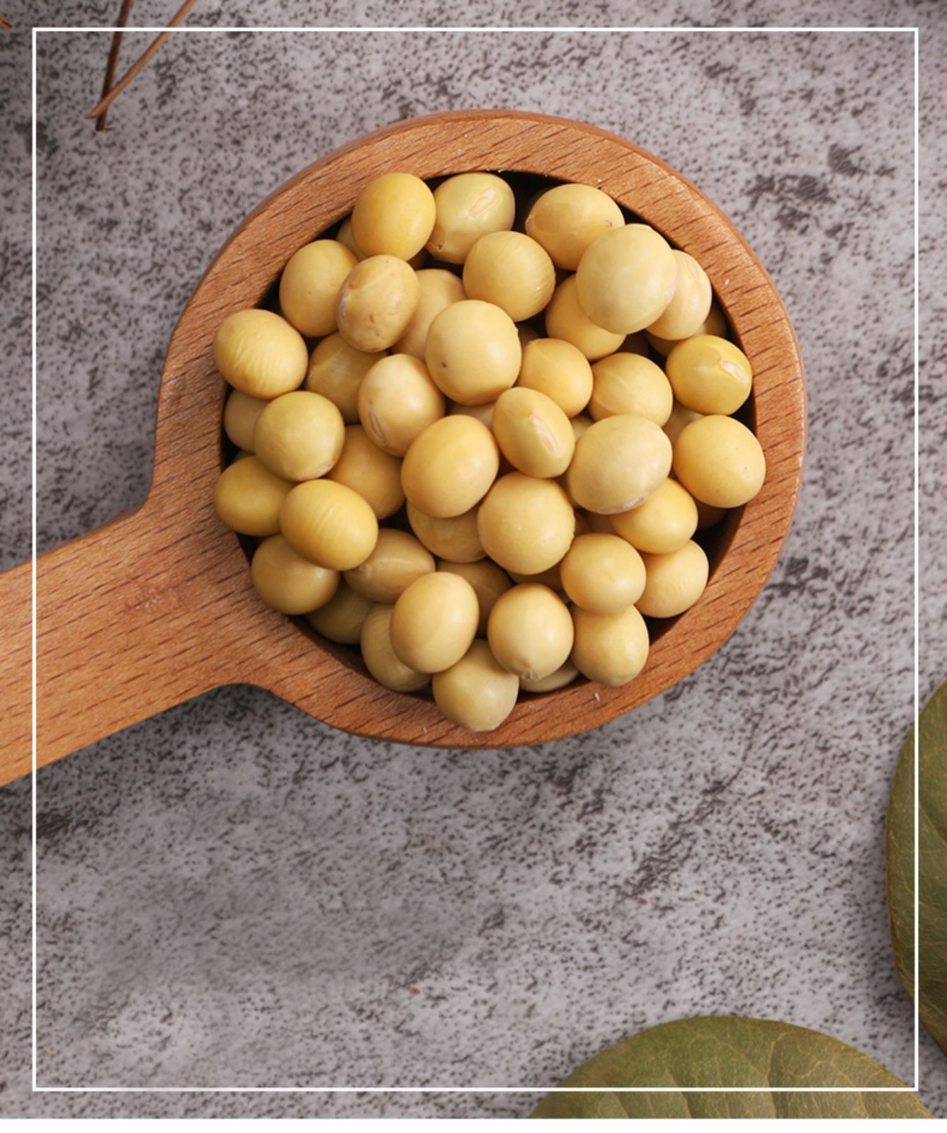 汾都香当季黄豆500g独立包装五谷杂粮粗粮东北农家黄小豆500g独立包装