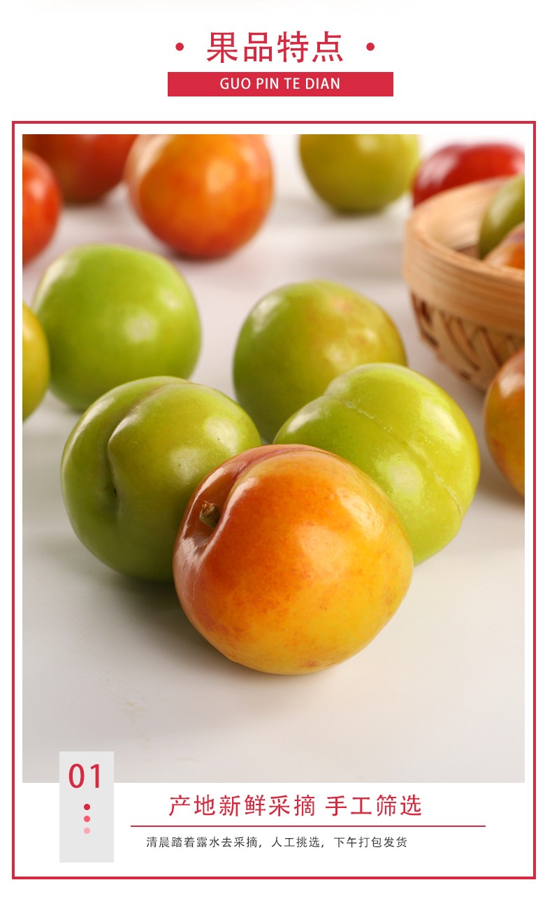 酸脆李三月李小李子当季新鲜孕妇水果青李子精选3斤装