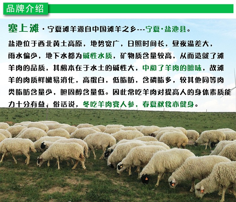 塞上滩宁夏盐池滩羊羔羊整只21斤生鲜羊肉新鲜现宰 整只21斤