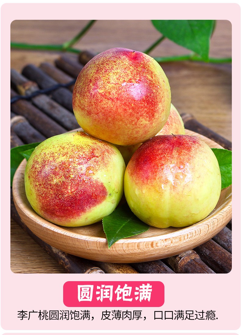 味来戈壁 甘肃敦煌特产李广桃新鲜青皮桃子紫胭桃5斤礼盒装现摘现发